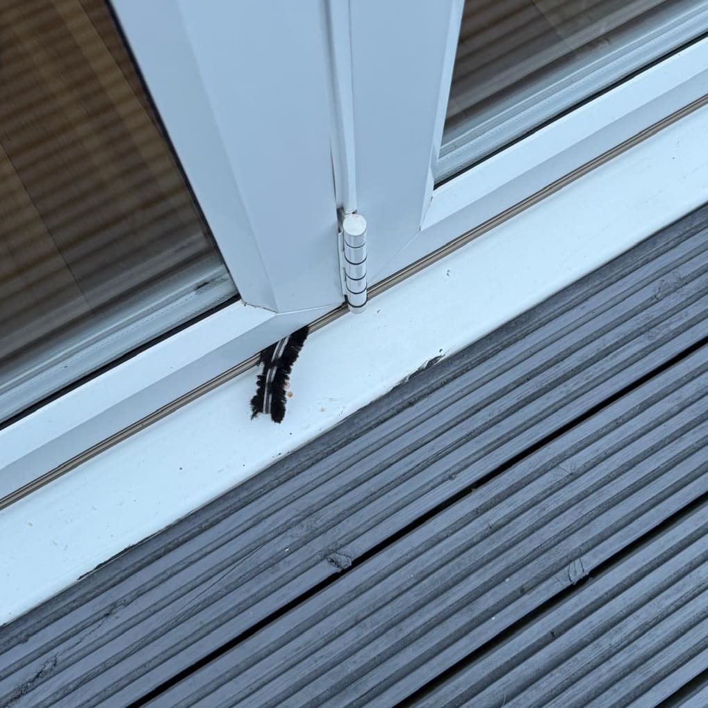 Door Seal Repairs